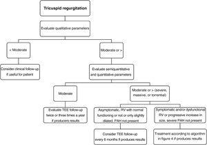 Evaluation and follow-up in patients with tricuspid regurgitation. PAH, pulmonary arterial hypertension; RV, right ventricle; TEE, transesophageal echocardiography;.