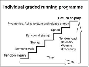 Programme to incorporate progressive load to the tendon.
