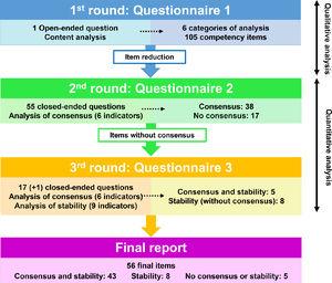 Schematic representation of the successive rounds used in the Delphi study.