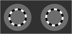 The “Dyop” visual acuity target. 4-6 One of the targets is rotating, while the other is stationary. The observer is required to indicate which of the targets is spinning (right or left), and the direction of rotation (clockwise or counter-clockwise).