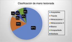 Distribución de la afectación de las manos lesionadas en función de los subgrupos de la clasificación de Del Piñal3 (%).