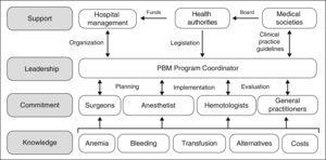 Structural and organizational aspects in the development and implementation of a Patient Blood Management program.