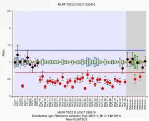An MLPA P337 study showed a deletion in heterozygosis in exons 10–42 of the TSC2 gene, as well as exons 30 and 40 of the PKD1 gene.