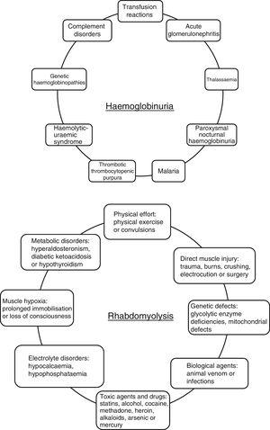 Main causes of haemoglobinuria and rhabdomyolysis.