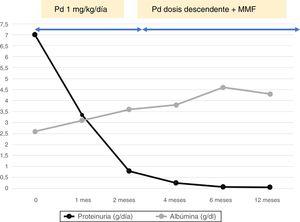 Evolution of proteinuria and serum albumin with the treatment. MMF: mycophenolate mofetil; Pd: prednisone.
