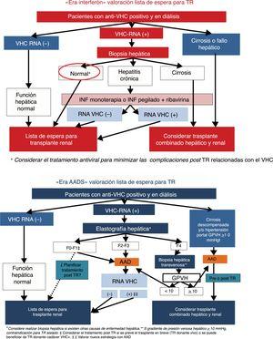 Approach to the treatment of HCV in patients with terminal end stage renal disease patients candidates for renal transplantation.