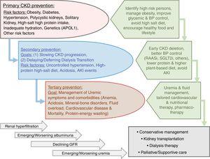 Overview of the preventive measures in chronic kidney disease (CKD) to highlight the similarities and distinctions pertaining to primary, secondary, and tertiary preventive measures and their intended goals.
