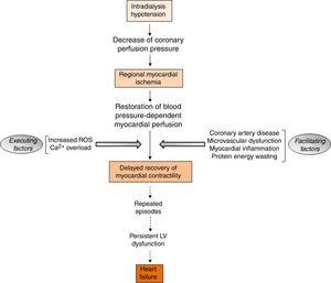 Sequence of events involved in the pathogenesis of myocardial stunning in patients submitted to hemodialysis (ROS, reactive oxygen species; Ca2+, calcium; LV, left ventricular).