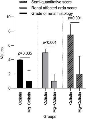 Comparison of renal histopathological scores in colistin and Mg+colistin groups.