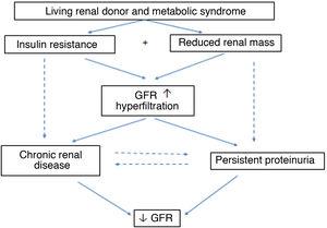 Possible mechanisms which lead to hyperfiltration, progressive renal disease and proteinuria in potential living renal donors who have metabolic syndrome prior to donation. GFR: Glomerular Filtration Rate. Adapted from Hernández D 305.
