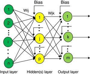 Multi-layer feed forward neural network structure. Elaborated by the authors.