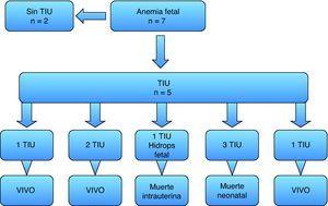 schema di casi di trasfusione fetale intrauterina. N: numero di casi; TIU: trasfusione intrauterina.