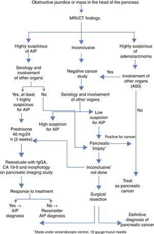 Simplified diagnostic algorithm by the Mayo Clinic to differentiate between adenocarcinoma of the pancreas vs AIP.4