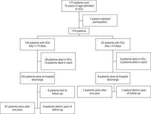Flowchart. The figure shows the flowchart of the patients included in the study.
