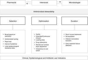 Antimicrobial stewardship program operating strategy.