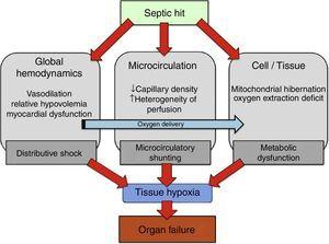 Physiopathology of oxygen transport alterations in sepsis. Sepsis may induce complex alterations at different levels (including global hemodynamics, microcirculation, and cell metabolism) of the oxygen transport “cascade”, leading to tissue hypoxia and the consequent development of organ failure.