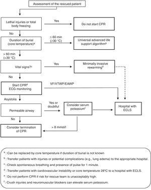 Algorithm for assessment and intervention in the case of victims that have been completely buried by a snow avalanche. Indications of ECLS51. EAWP: electrical activity without pulse; VF: ventricular fibrillation; CPR: cardiopulmonary resuscitation; ECLS: extracorporeal life support; VTWP: ventricular tachycardia without pulse.