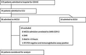 COVID-19 patients treated in the hospital during the study period.