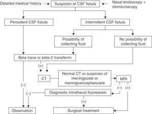 Management of Cerebrospinal Fluid Leaks According to Size. Our