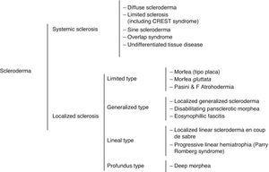 Overall scleroderma classification. Adapted from: Preliminary criteria for the classification of systemic sclerosis (scleroderma). Subcommittee for scleroderma criteria of the American Rheumatism Association Diagnostic and Therapeutic Criteria Committee 9 to Kreuter et al.10