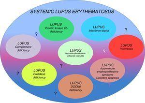 Different genetic defects produce different lupus-like diseases.