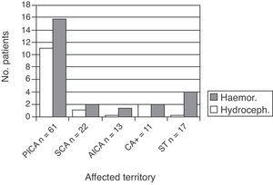 Patients with cerebellar infarct and complications during hospitalisation: breakdown by affected territory.