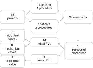 Study group profile. Eighteen patients were referred for percutaneous PVL closure at our center. Sixteen patients underwent a single procedure and two a second procedure, in a total of 20 procedures. Fifteen procedures were successful: 14 PVL closures in mitral prostheses (eight in biological and six in mechanical mitral valves) and one in a biological aortic prosthesis. PVL: paravalvular leak.