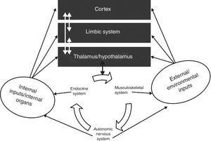 The interactions between the autonomic nervous system, the brain, the body and the environment. Adapted from Jänig.16