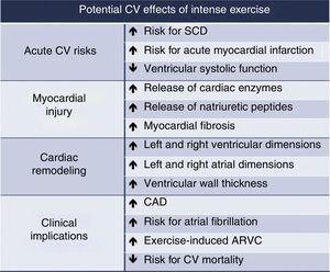Potential cardiovascular effects of regular intense exercise training. ARVC: arrhythmogenic right ventricular cardiomyopathy; CAD: coronary artery disease; CV: cardiovascular; SCD: sudden cardiac death.