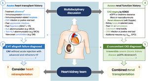 Candidate selection for heart retransplantation combined with renal allograft. AKI: acute kidney injury; CAV: coronary artery vasculopathy; CKD: chronic kidney disease; CMV: cytomegalovirus; DM: diabetes mellitus; eGFR: estimated glomerular filtration rate; EPO: erythropoietin; HF: heart failure; ISHLT: International Society for Heart and Lung Transplantation; HLA: human leukocyte antigen; KDIGO: Kidney Disease Improving Global Outcomes; MICA: MHC class I-related chain A; UNa+: urinary sodium. * includes both pharmacological and non-pharmacological (e.g. smoking and/or alcohol cessation) treatment.