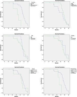 Overall survival (OS) curves according to prognostic factors.