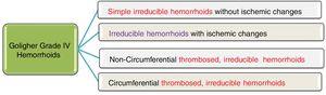 Goligher’s Grade IV hemorrhoids as a heterogeneous group.