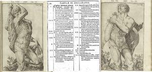 Láminas anatómicas originales de Casseri. Páginas 20 y 21 (H: líneas semilunares de Spigel).
