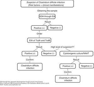 Diagnostic algorithm for confirming Clostridium difficile infection Adapted from Meyer et al.21.