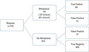 Diagnostic accuracy of NBI endoscopy for histologic intestinal metaplasia (light blue crest sign).