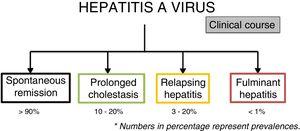 Clinical courses of hepatitis A virus infection. The percentages represent prevalence. *Los números en porcentaje representan las prevalencias.