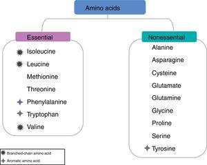 Classification of amino acids.