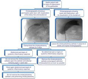 Algorithme proposé pour la gestion des cathéters de cholécystostomie : évaluation du retrait par la cholangiographie et les données cliniques.