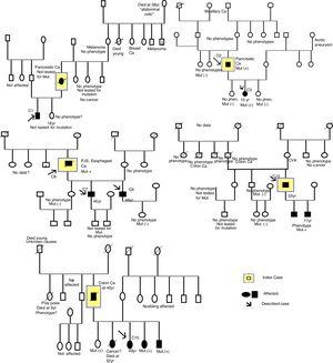 Family trees of some of the cases included in the study. C and arrow: case included; Ca: cancer; Mut: mutation; CVA: cerebrovascular accident; (−): negative; (+): positive; Phen: phenotype; yr: years of age.
