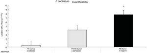 The fold change of Fusobacterium nucleatum in the peritumor samples and the tumor samples, compared with the normal tissue, according to the Wilcoxon sum rank test, was: F. nucleatum in the tumor tissue: *p = 0.020. FN: Fusobacterium nucleatum.