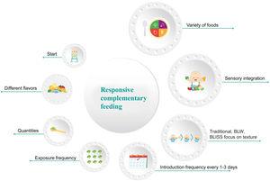 Components of responsive complementary feeding.