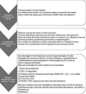 Resumo das boas práticas e alvos no choque séptico. Adaptado de Ames et al.41 SIRS, síndrome da resposta inflamatória sistêmica; PA, pressão arterial; TEC, tempo de enchimento capilar; PAM, pressão arterial média; PVC, pressão venosa central; IC, índice cardíaco; SVCO2, saturação venosa de veia cava superior.