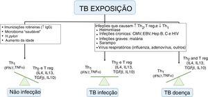 Fatores que influenciam a resposta imune da tuberculose. TB, tuberculose; IgG, imunoglublinas G; Th, Linfócito T helper; Treg, T regulador; IL, interleucina; IFN, Interferon; TNF, fator de necrose tumoral; CMV, citomegalovírus; EBV, Epstein‐Barr; Hep, hepatite. Adaptado de Whittaker et al.9