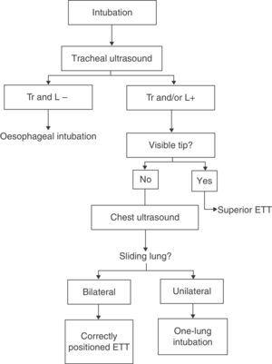 Algorithm proposed for the use of ultrasound in ETT placement confirmation. Tr: transverse ultrasound scan. L: Longitudinal ultrasound scan. ETT: endotracheal tube.