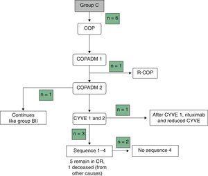 Final flowchart of the treatment of group C, modified due to toxicity.