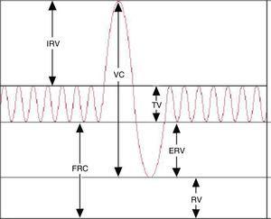 Lung volumes and capacities.