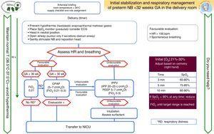 Algorithm for the resuscitation of preterm newborns less than 32 weeks’ gestational age.