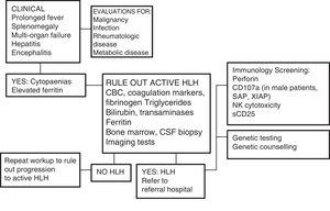 Diagnostic algorithm. Adapted from the Cincinnati Children's HLH Diagnostic Strategy, available at: www.cincinnatichildrens.org/dchi.