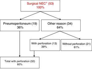 Indications for surgery in newborns with necrotising enterocolitis. The absolute frequency is presented in parentheses. NEC, necrotising enterocolitis.