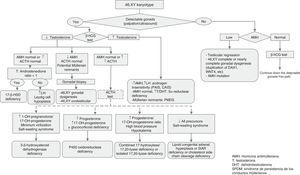 Algorithm for diagnosis of patients with 46,XY DSD. AMH, anti-Müllerian hormone; DHT, dihydrotestosterone; PMDS, persistent Müllerian duct syndrome; T, testosterone. * In case of testosterone elevation, performance of the β-hCG test is not needed.